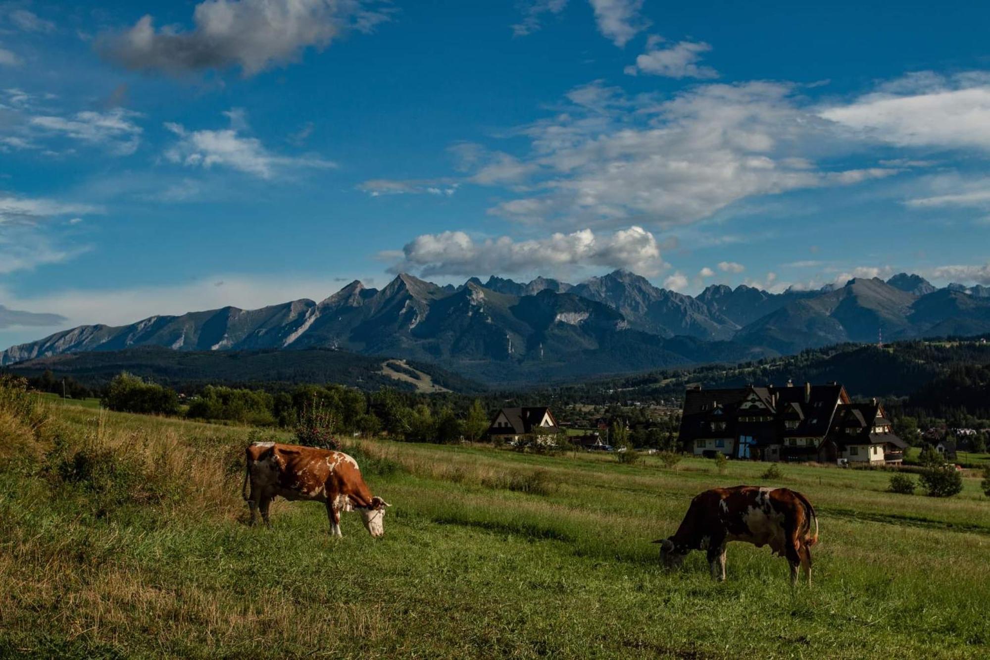 Pokoje Goscinne Stanek Ciche Małe Exterior foto